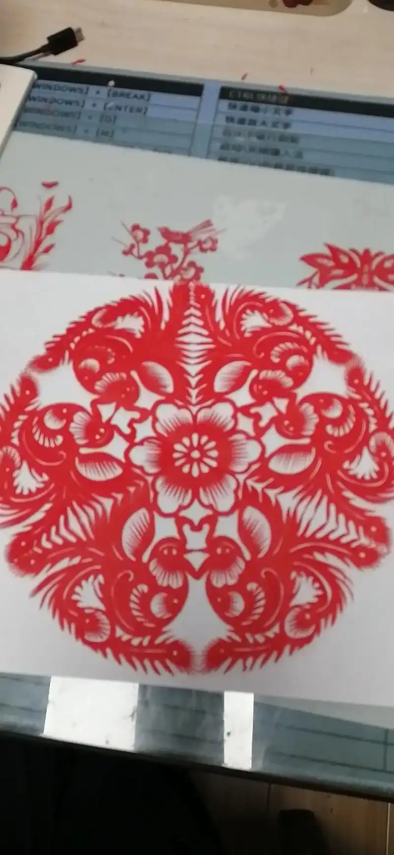 来一波凤戏牡丹,凤凰双喜,吉祥如意喜结良缘@温涛剪纸(下午四 - 抖音