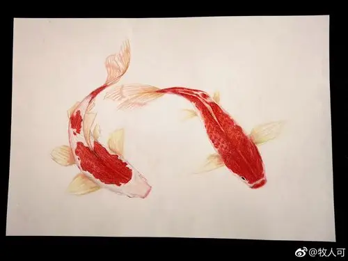 繁花似锦富贵有鱼彩铅锦鲤教学