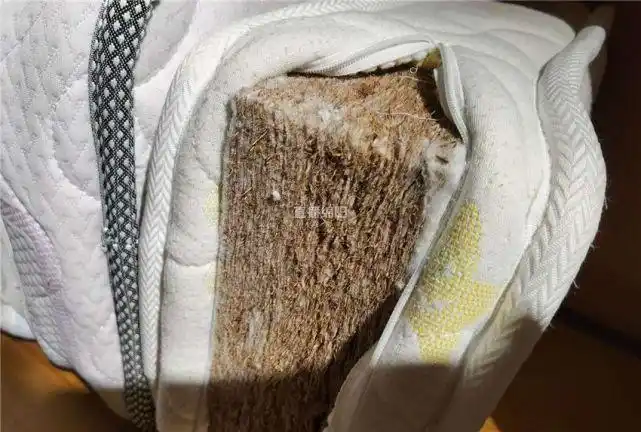 棕床垫睡出白血病教你如何正确挑选棕垫