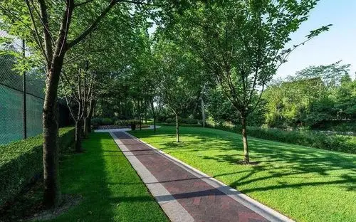 [分享]道路绿化中,城市干道植物应怎样配置?