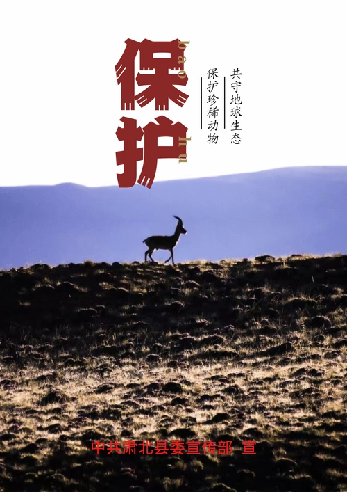 微海报保护野生动物人与自然共存