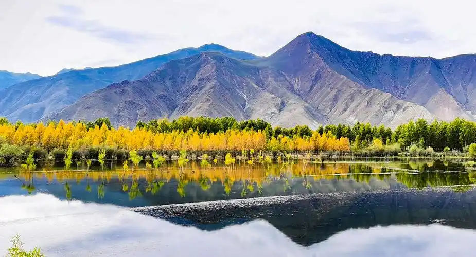 拉萨市达孜区塔杰乡的秋景(9月11日摄).新华社记者 沈虹冰 摄