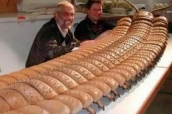 远史巨型马陆虫界的超级巨人体长达三米会喷洒毒液