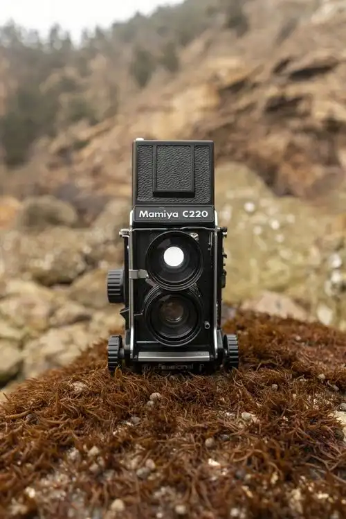 玛米亚c220f了解一下很少见