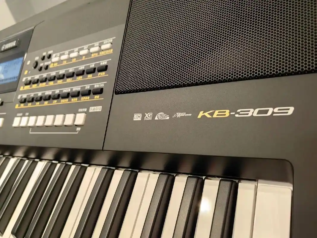雅马哈电子琴kb-309 横贯东方与西洋音乐,连接传统与现代,kb-309专为