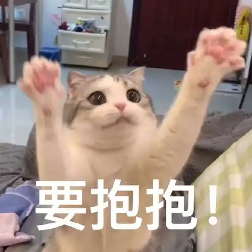 萌宠喵星人要抱抱手臂张开可爱活泼gif动图_动态图_表情包下载_soogif