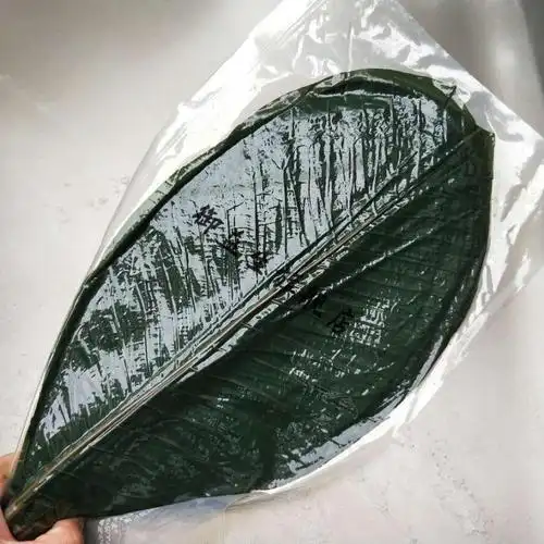 装饰摆件丹麦叶刺身姿造装饰大树叶冷菜盘饰热菜盛器创意餐具日式料理