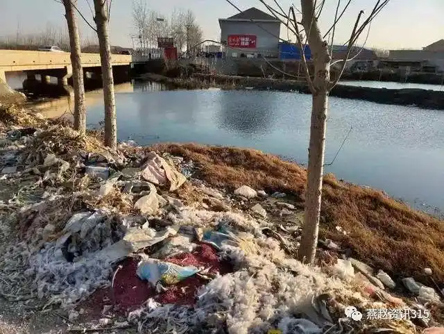 曝光!玉田某镇农村环境脏乱差