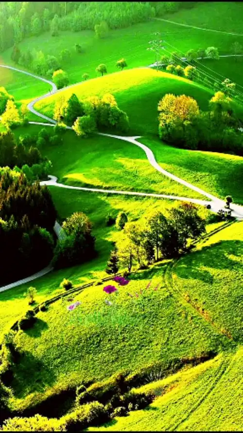 立春#立春,终于扑捉了阳光明媚大自然,深深吸一口气仿佛世界都没有