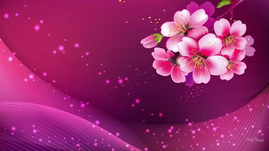 apple blossoms hd desktop壁纸:宽屏:高清晰度:全屏