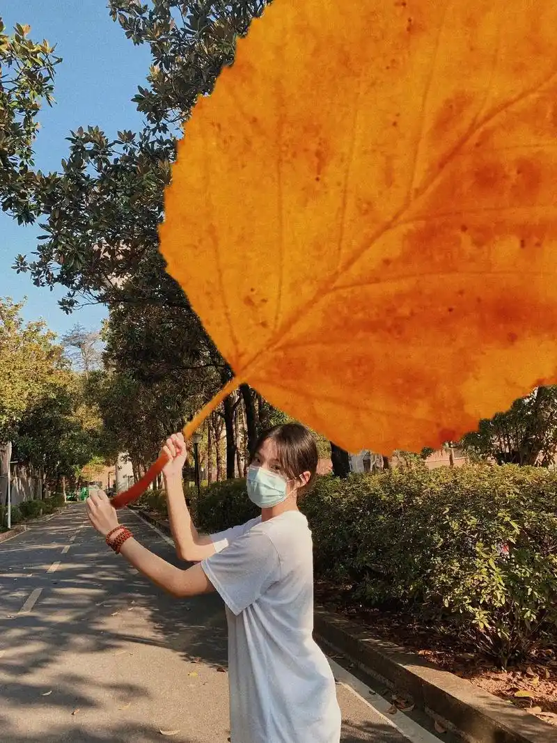 秋日树叶大～这是我们南方的超大树叶 北方人见过吗#树叶拍照  - 抖音