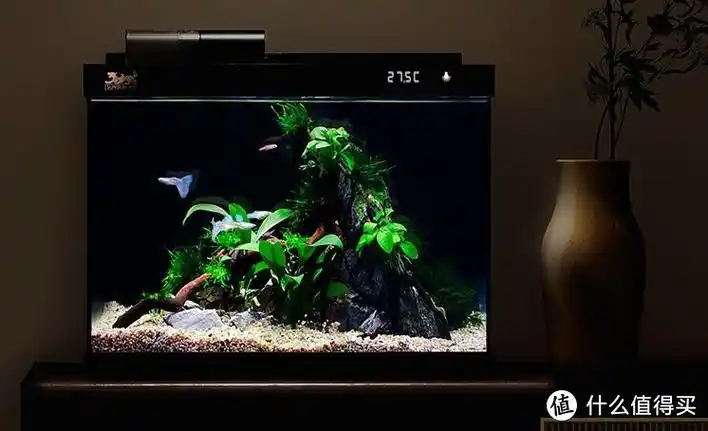 森森sunsun金麟超白玻璃鱼缸养鱼无忧的小型懒人鱼缸