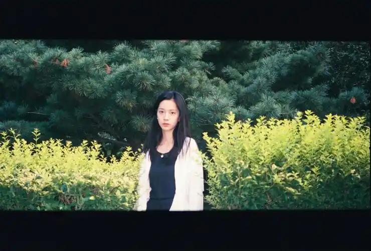 庄达菲 - 堆糖,美图壁纸兴趣社区