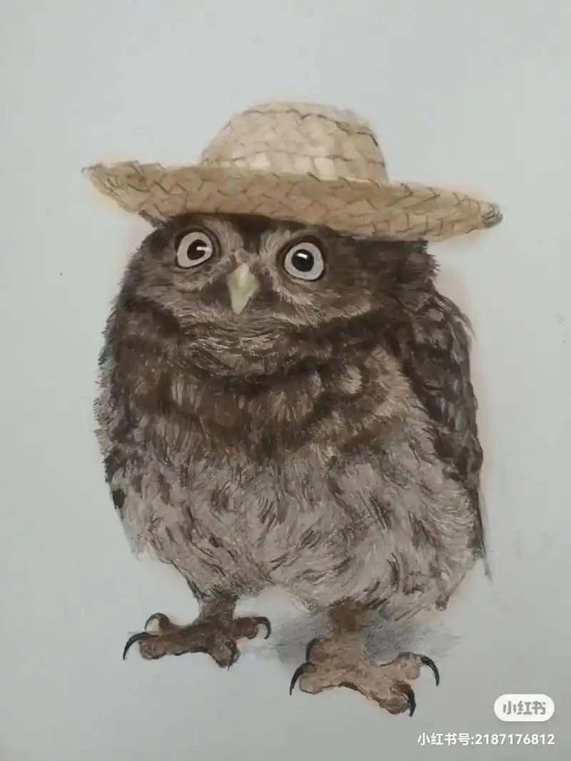动物画猫头鹰