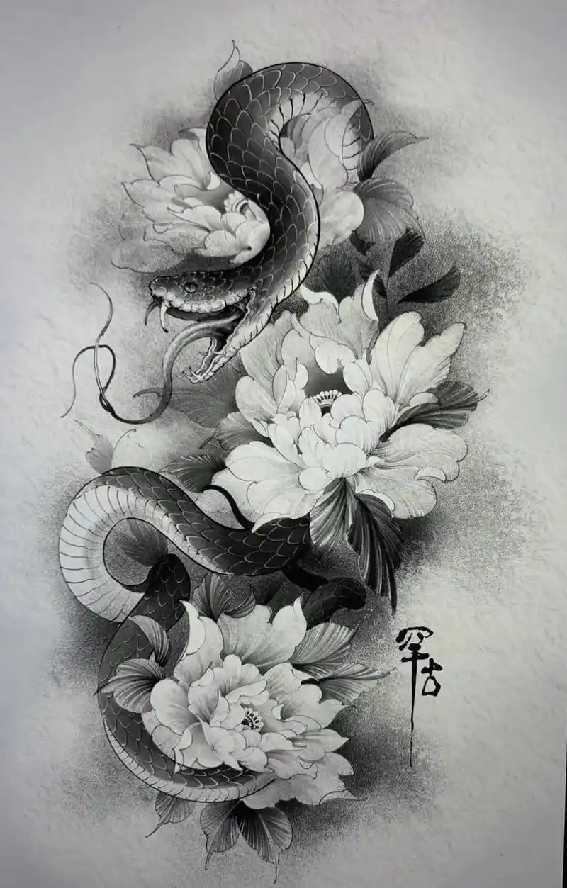 传统蛇盘牡丹手稿分享适合花臂花腿