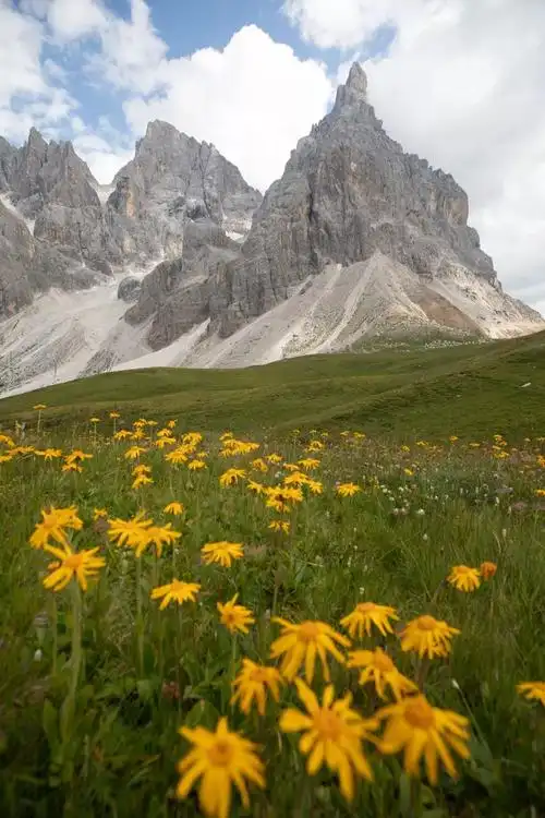 摄影中的景深合成你想知道的都在这儿