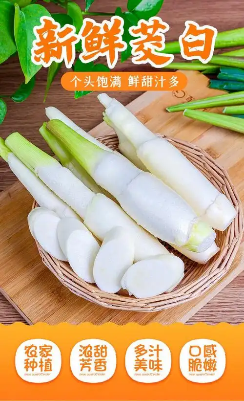 新鲜茭白高山现摘时令蔬菜农家高瓜菰笋菰手茭笋高笋茭瓜 净重1500克3