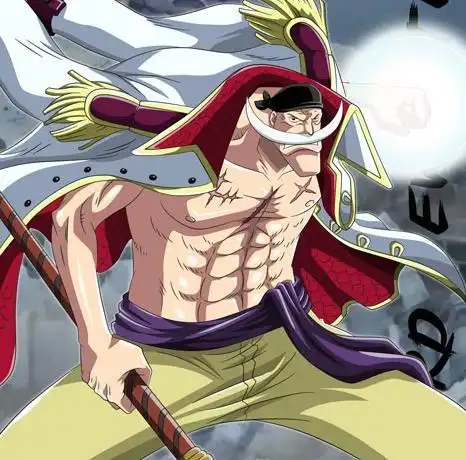 海贼王中最强的男人,一人对战白胡子和罗杰,为了路飞被无情删除