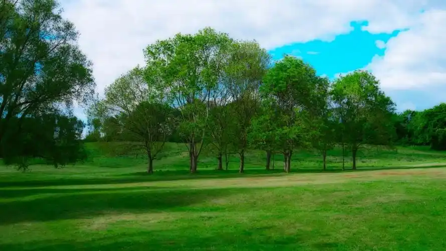 自然风光绿色环境清新空气高清桌面壁纸_电脑壁纸风景壁纸图片_乐美