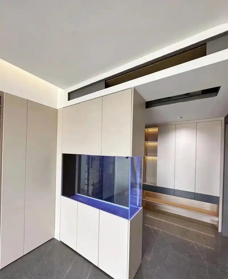 一体屏风鱼缸定制 罗定.#入户玄关 #水族爱好者 #高级感治 - 抖音