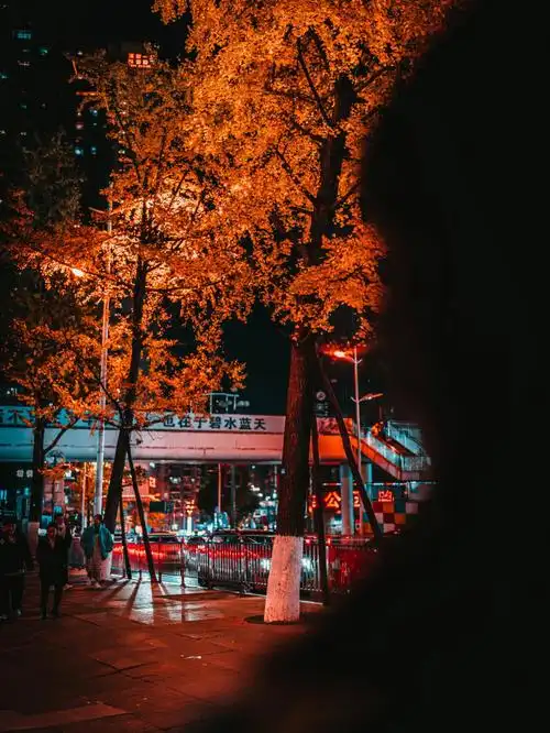 风景照记录生活生活照