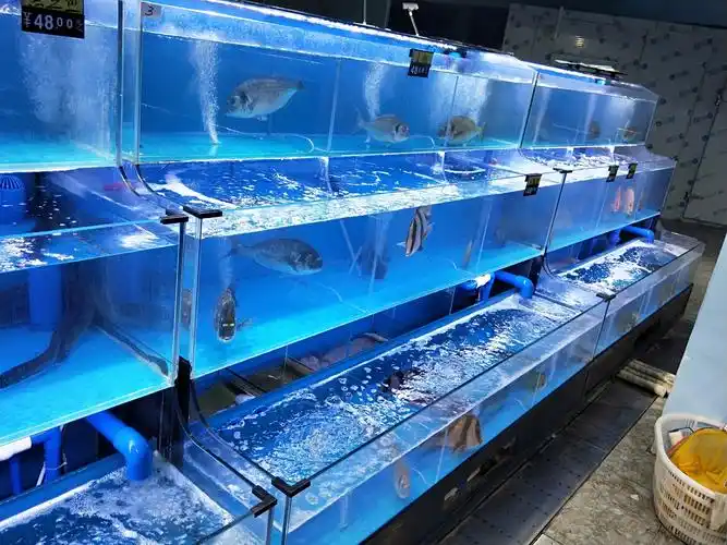 如何判断海鲜池氧气不足!