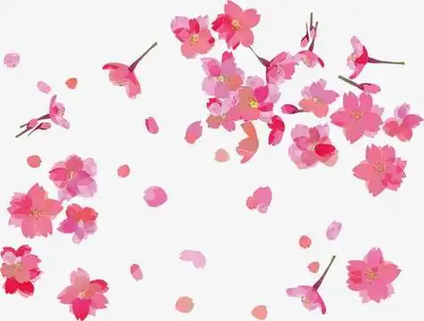 花瓣简笔画一片简笔画花朵花瓣觅元素51yuansucom花落知多少简笔画