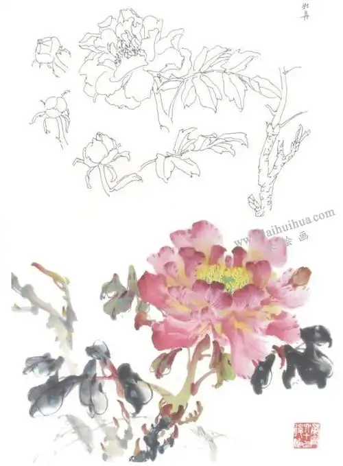 牡丹的写意画法,牡丹绘法
