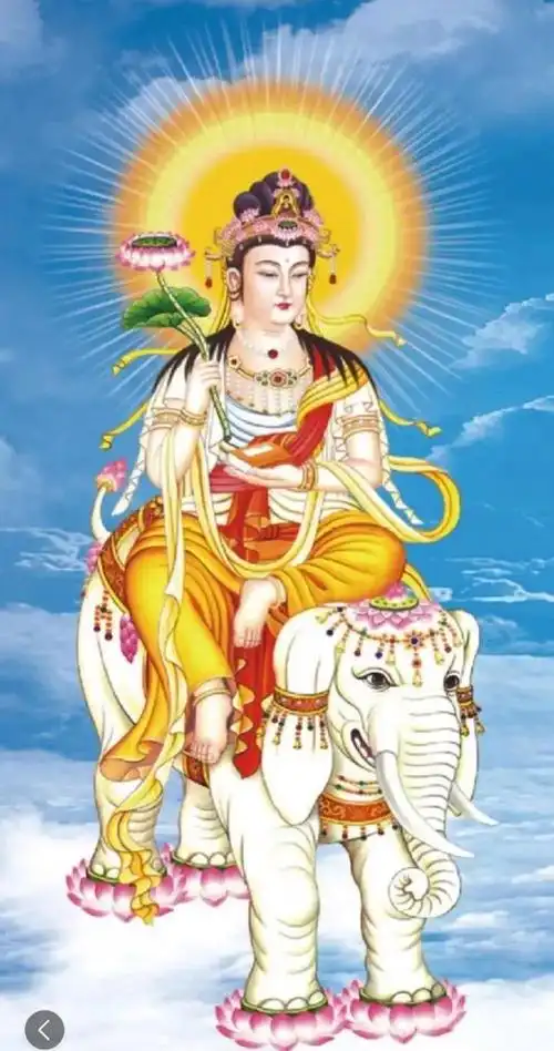 八大名佛菩萨的坐骑(八大菩萨的坐骑是什么)