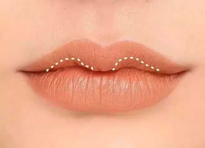 唇珠 理论上来讲,只要用比现有唇色 更深一点的颜色,涂在 唇珠两边的