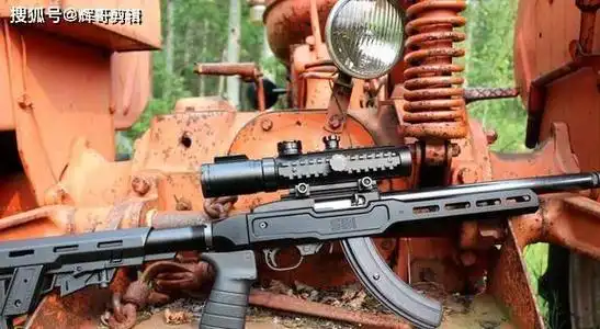 鲁格10/22arsenalsam-5arsenalsam-5柯尔特sp1ar-15柯尔特sp1ar-15