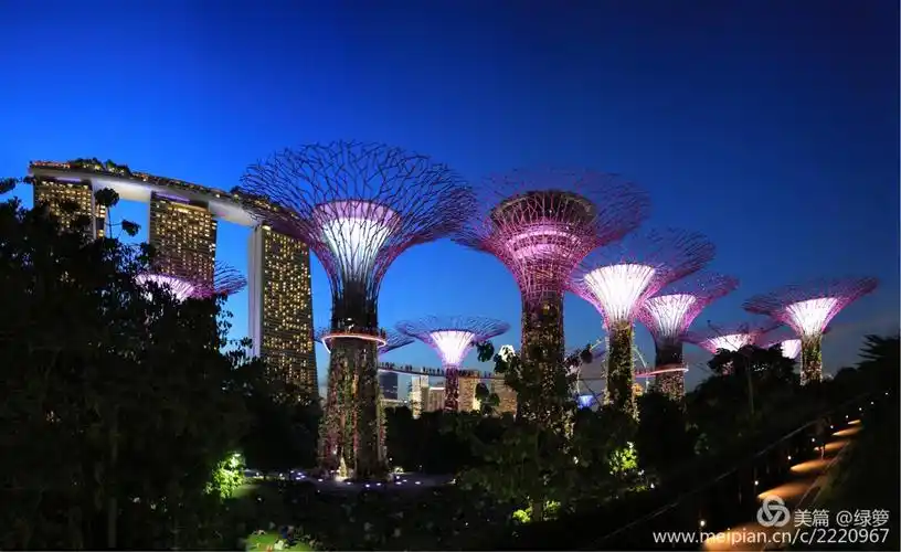 新加坡风景(接片)