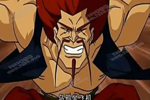 阿福乌鸦坐飞机梗是怎么火的 fgo阿福乌鸦坐飞机梗由来出处