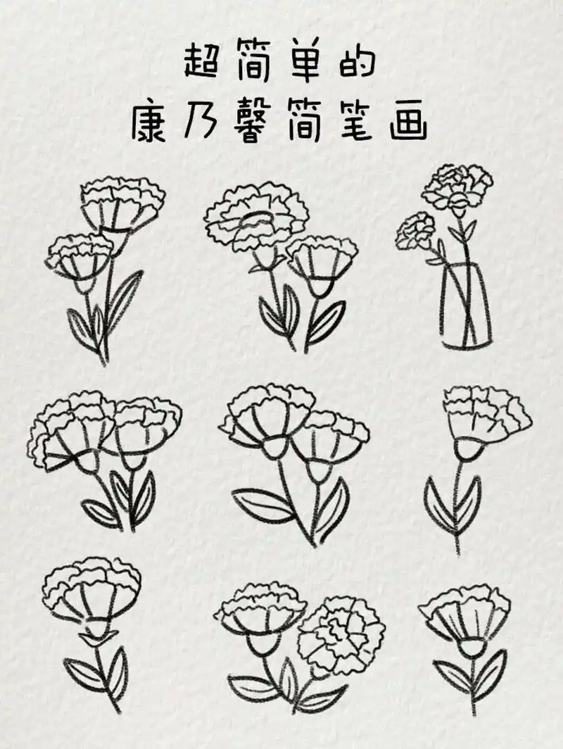 超简单的康乃馨简笔画|一起来画吧~ 即使不是母亲节,也可以买束康乃馨