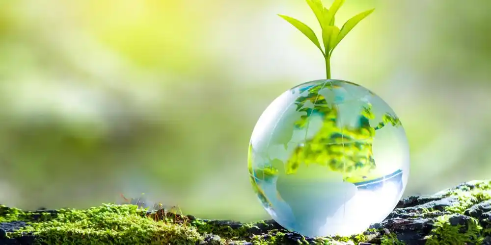 绿色与先进能源转型驱动未来经济和生态双赢