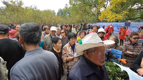 昆明翠湖公园实拍:一大群老年人在此唱歌跳舞,比赶集都热闹