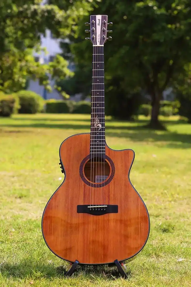 9293 认识吉他的第一步——品类大揭秘.在