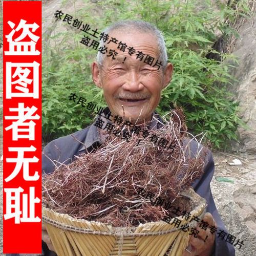 沂蒙山天然茜草根 血见愁红根草 娃娃拳拉拉秧根非特级中药材茜草【15