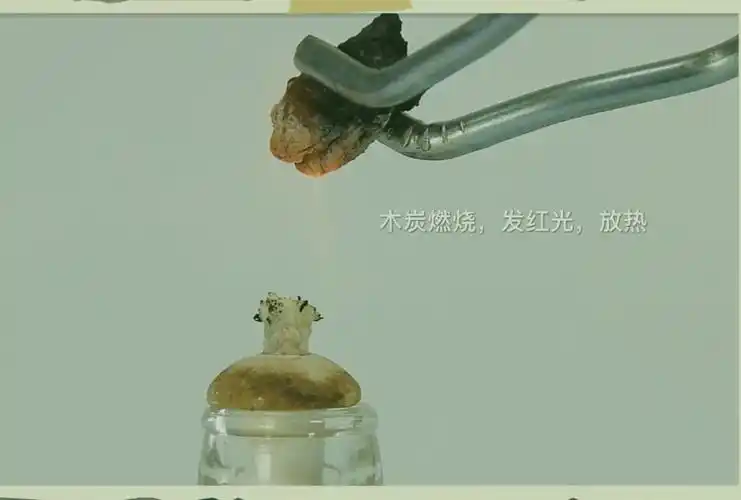 木炭与氧气的反应