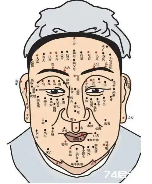 在民间一直都有通过面相能够分析出性格好坏和运势好坏的说法
