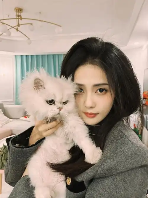 好羡慕白鹿的猫猫一脸嫌弃和不情愿的样子真是身在福中不知福