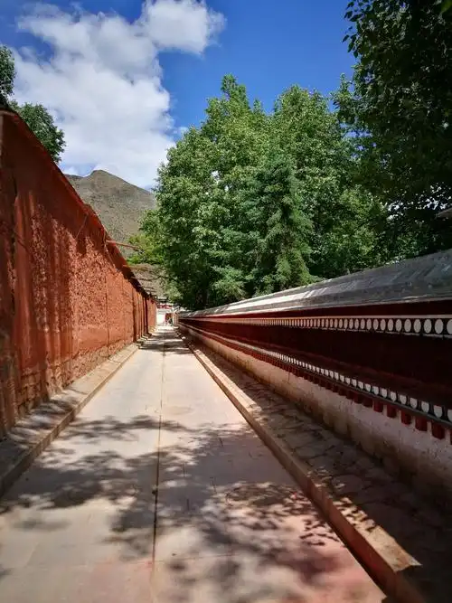 寺院中的围墙多为高原特有的白麻草筑成,这种草防震,防虫蚁,透气.