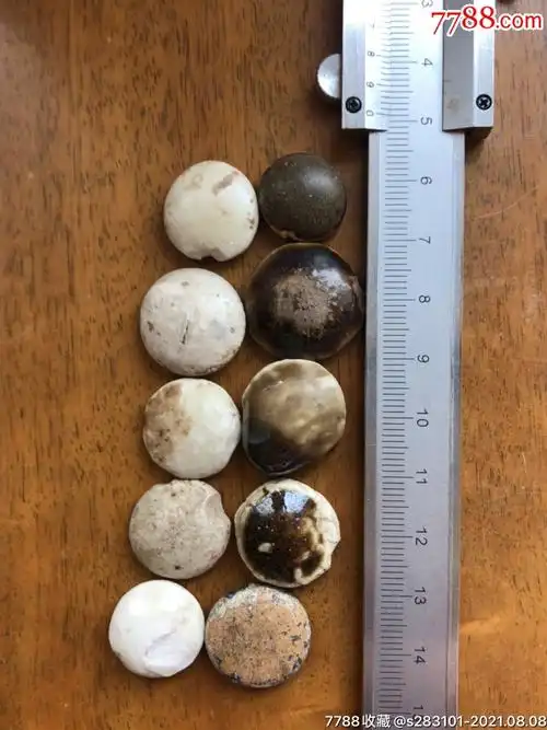 宋代定窑围棋子6