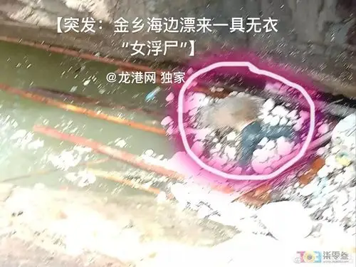 温州海边发现赤裸女浮尸太吓人了组图