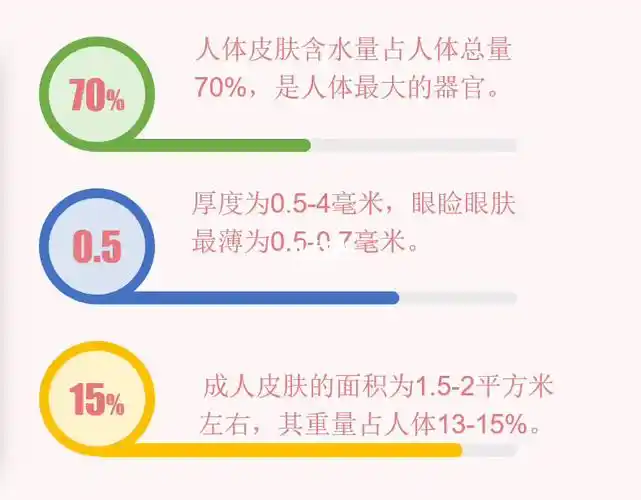 *人体皮肤含水量占人体总量70%,是人体最大的器官*厚度为0