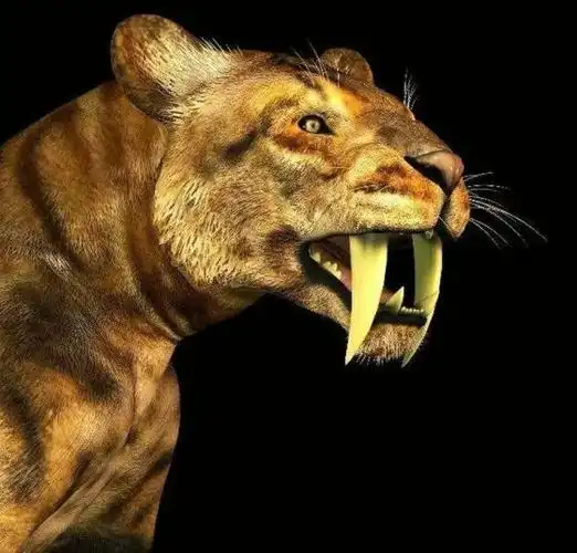 剑齿虎怕什么动物 老虎最怕三种克星