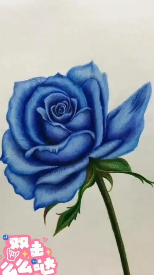 彩铅蓝色妖姬蓝色玫瑰又叫蓝色妖姬代表爱情热情
