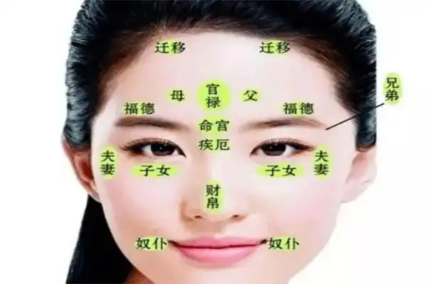 五官面相 - 桦禄易学网 - 学易就到桦禄易学网