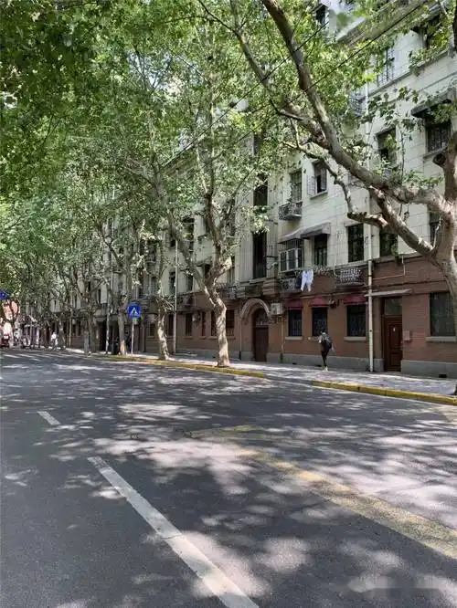 花园公寓梧桐掩映下复兴中路背后的故事