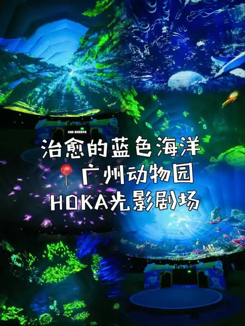 治愈的蓝色海洋l广州动物园hoka光影
